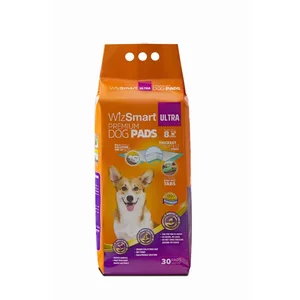 Petix Company Llc WizSmart Eco-Friendly All Day Dry Dog