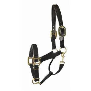 Choice 5-932550 Gatsby Premium Nylon Halter With Padded Leather Overla