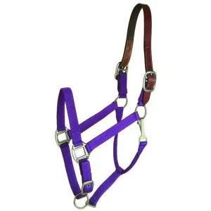 Choice 5-111318 Gatsby Classic Nylon Breakaway Halter With Snap