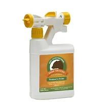 Ebrookmyer Inc-TPW-1Q