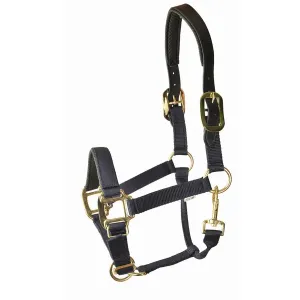 Choice 5-932576 Gatsby Premium Nylon Halter With Padded Leather Overla