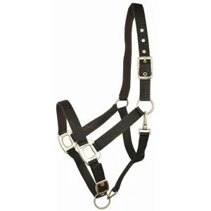 Choice 5-650142 Gatsby Leather Padded Adjustable Nylon Halter