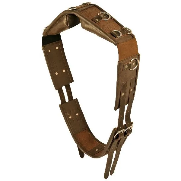 Choice 5-281222 Gatsby Leather Training Surcingle