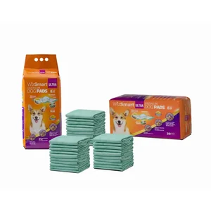 Petix Company Llc WizSmart Eco-Friendly All Day Dry Dog