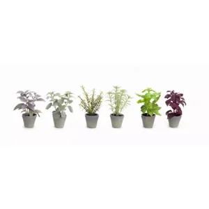 70457DS | Melrose International Artificial Herb Planters