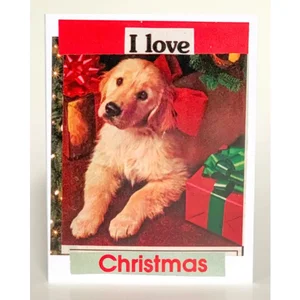 SQ8351341 | Barnes Cards Llc Festive Holiday Greeting Cards