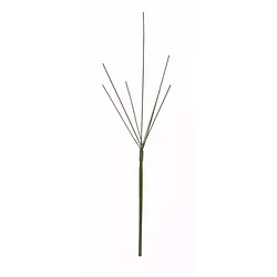 Melrose International-48001DS