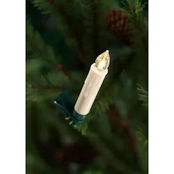 Melrose International-61629DS