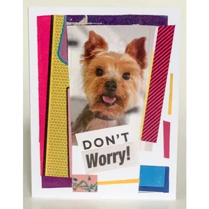 SQ6768261 | Barnes Cards Llc Don't Worry Greeting Cards
