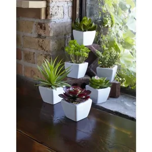 Melrose International Set of 6 Ceramic and Plastic Potted