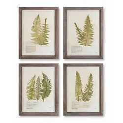 Melrose International-74577DS