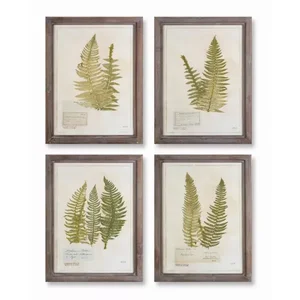74577DS | Melrose International Set of 4 Framed Botanical