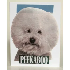 SQ3501160 | Barnes Cards Llc Peekaboo Anytime Greeting Card