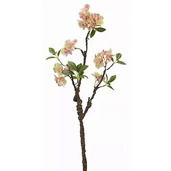 Melrose International-78546DS