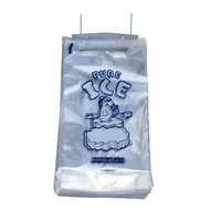 International Plastics Inc-PB-ICE-10M