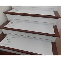 Step Protect Plus Llc-860005231430