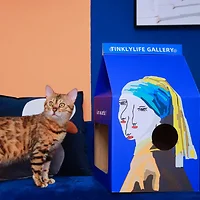 Tinklylife-6972367470854