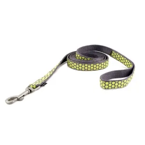 Petsafe FIN-LSH-3/4-X-6-DOT Fido Finery Leash (dotted Bliss, 6' X 34)