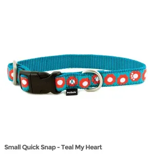 Petsafe FIN-QSC-S-3/4-TEA Fido Finery Quick Snap Collar (small, Teal M