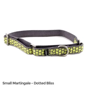 Petsafe FIN-PRC-S-3/4-D Fido Finery Martingale Style Collar (34 Small,