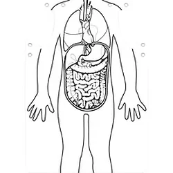 Roylco Inc-RYL 59802