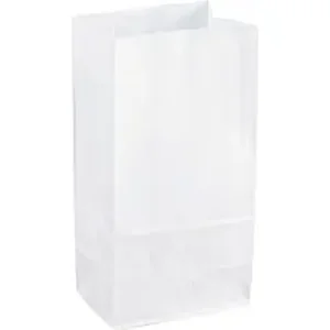 Sparco Sparco White Kraft Paper Bags - 6 Width x 11 Length