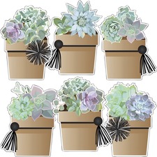 Carson CDP 120579 Dellosa Education Simply Stylish Potted Succulents C