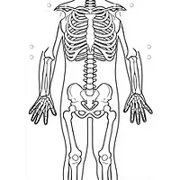 Roylco Inc-RYL 59801