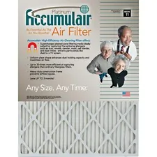 Filtersnowcom FLN FA20X244 Accumulair Platinum Air Filter - For Air Co