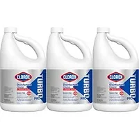The Clorox Company-CLO 60091CT