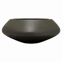 Plutus Brands-PBTH93954