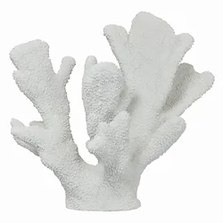 Plutus Brands-PBTH93786