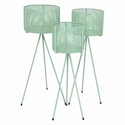 Plutus Brands-PBTH94691