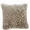 PBSF1503-P-2026-DP | Plutus Brands Champagne Persian Chila