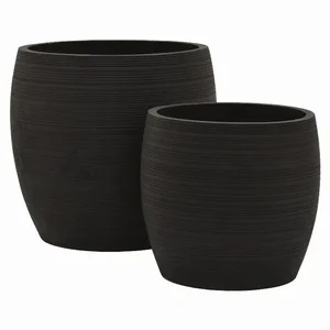 PBTH94777 | Plutus Brands Set of 2 Stylish Black Resin