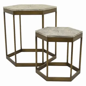 Plutus PBTH93249 Metalwood Plant Stand In Gold Metal Set Of 2