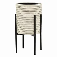 Plutus Brands-PBTH94226