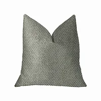 Plutus Brands-PBKR1972-2026-DP