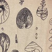 Plutus Brands-PBRA2325-2026-DP