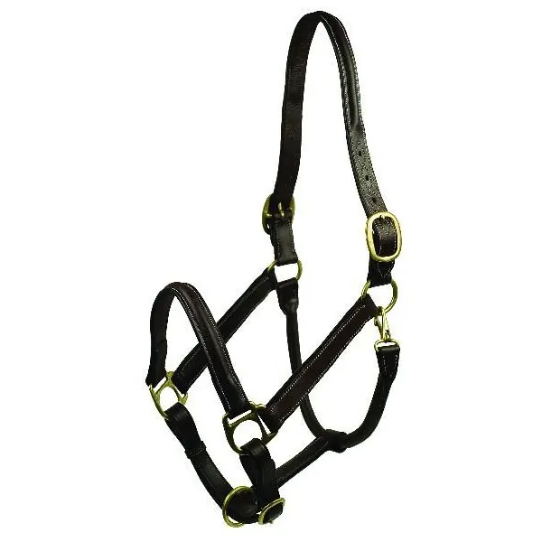 Choice 5-105636 Gatsby Classic Raised Halter