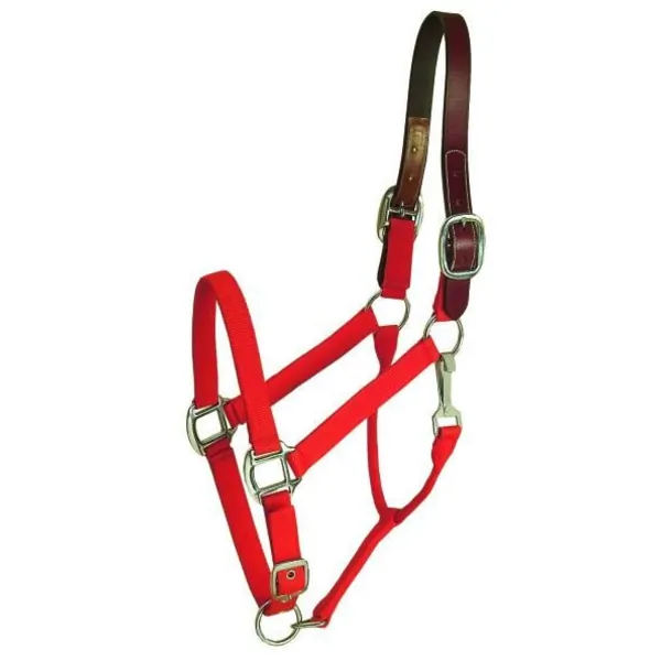 Choice 5-111309 Gatsby Classic Nylon Breakaway Halter With Snap