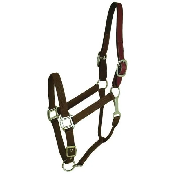 Choice 5-111312 Gatsby Classic Nylon Breakaway Halter With Snap