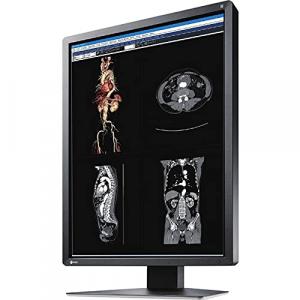 Eizo MX216-BK 21.3in Led 1600x1200 Mx-series