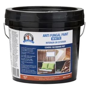 Ebrookmyer 1S-AFPC 1 Shot White Anti-fungal Paint - 1 Gallon