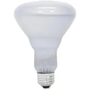 GEL 48692 | Ge Lighting Reveal 65-watt R30 Floodlight - 65