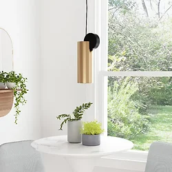 Zuo Modern Contemporary Inc-56106