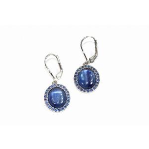 Wild GOS12 Himalayan Kyanite  Tanzanite Medley Earrings