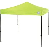 Tenacious Holdings Inc-EGO 12910