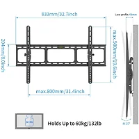 AMER NETWORKS-BIGASSMOUNT60T