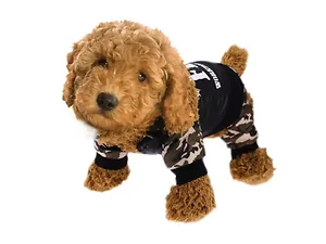 Bulk Buys FBI Agent Pet Costume - Funny Dog Outfit for